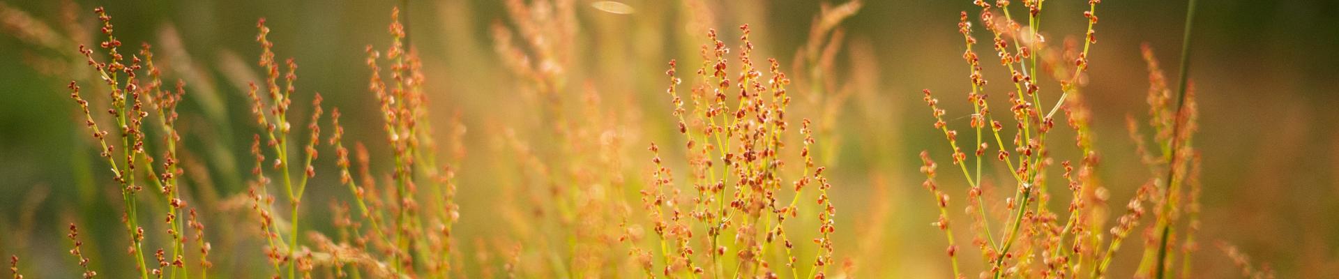 Rebekka Zinn - über meine PErson